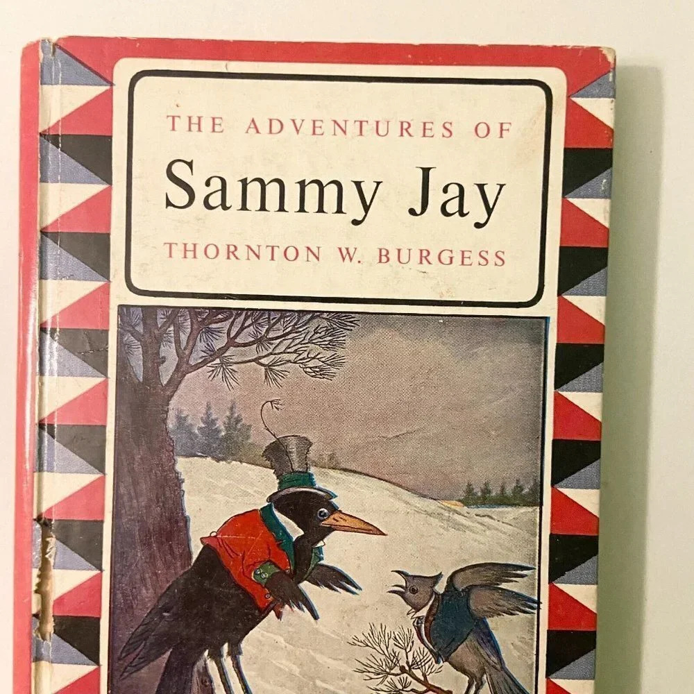 Vintage 1964 The Adventures of  Sammy Jay Thornton W Burgess - Picture 5 of 16